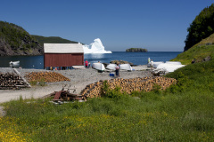 An iceberg in a tiny fishing harbour