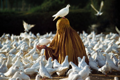 A woman feeding pigeons - Mazar-i-Sharif, Afghanistan, 1991