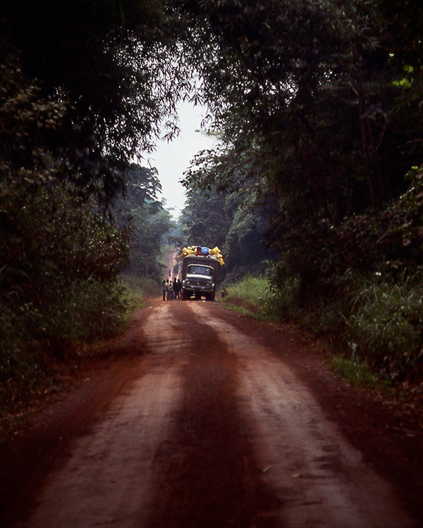 A truck broken down in the middle of nowhere in the Democratic Republic of Congo.